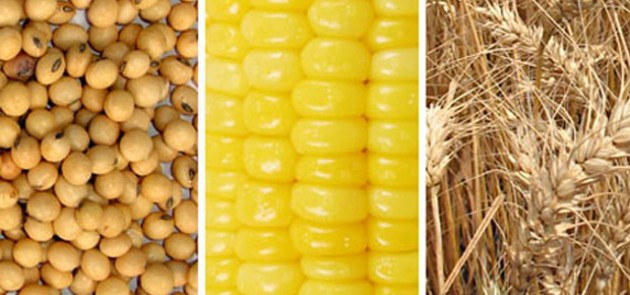 La demanda sigue empujando la soja a nivel global, mientras que el trigo y el maíz juegan un papel más local