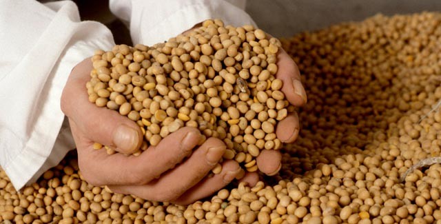 Datos del USDA impulsan precios de la soja a niveles ópticos muy importantes